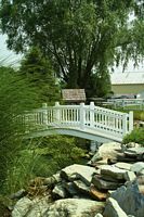bridge