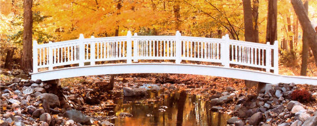 foot bridge