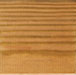cedar