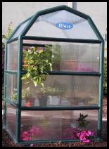 rion mini greenhouse